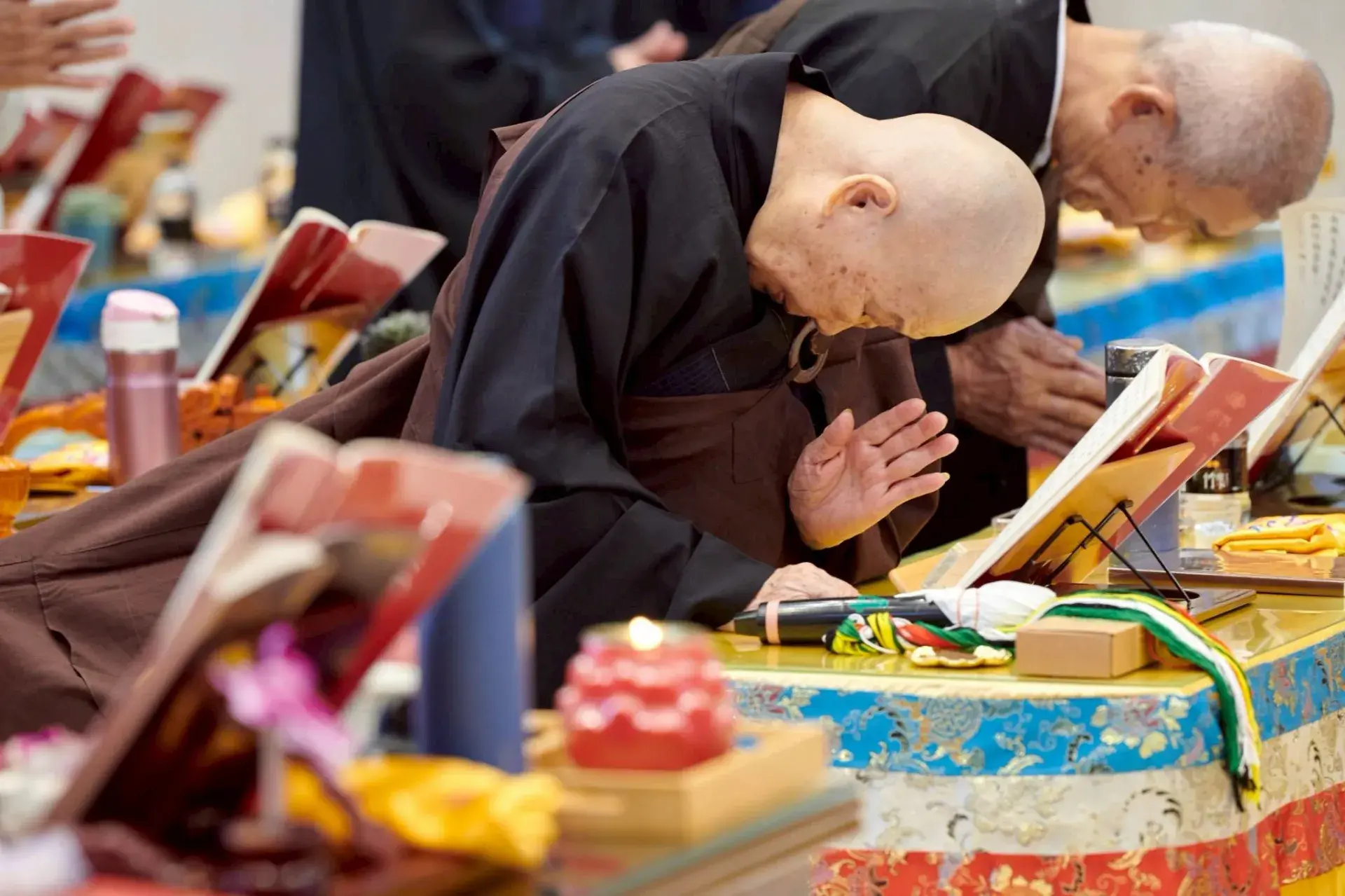 646373702 122115620733179749 6589490245401946112 N