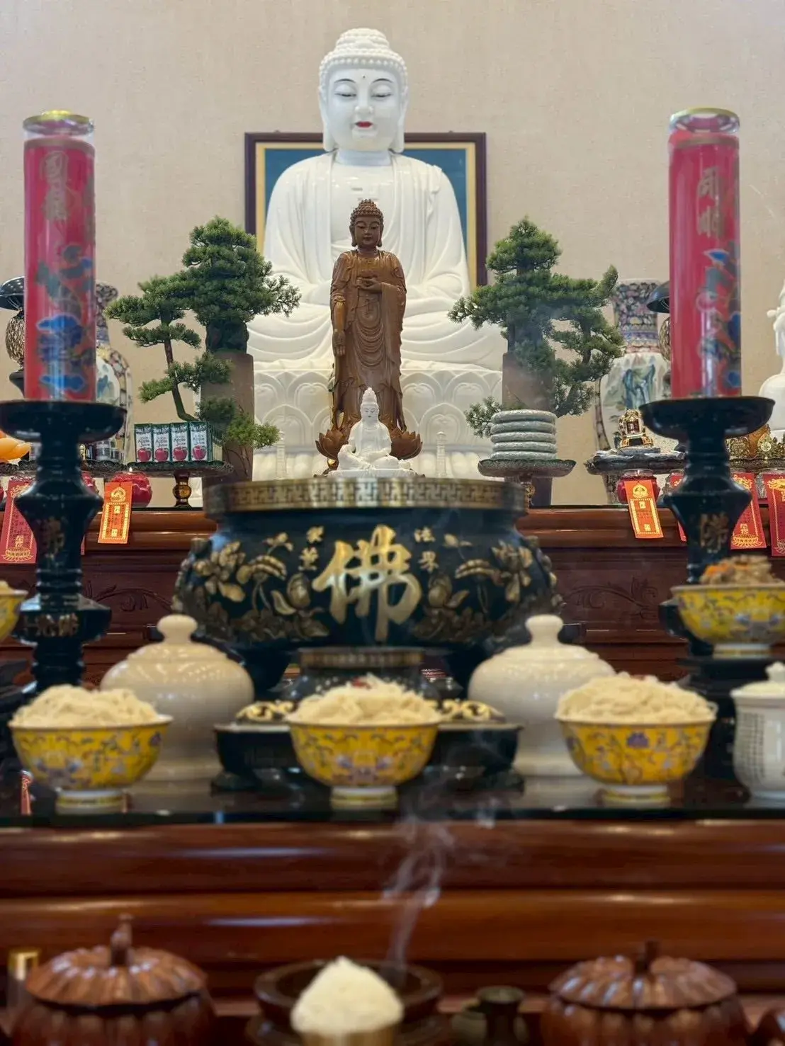 636988935 122113504683179749 4027882212660818803 N