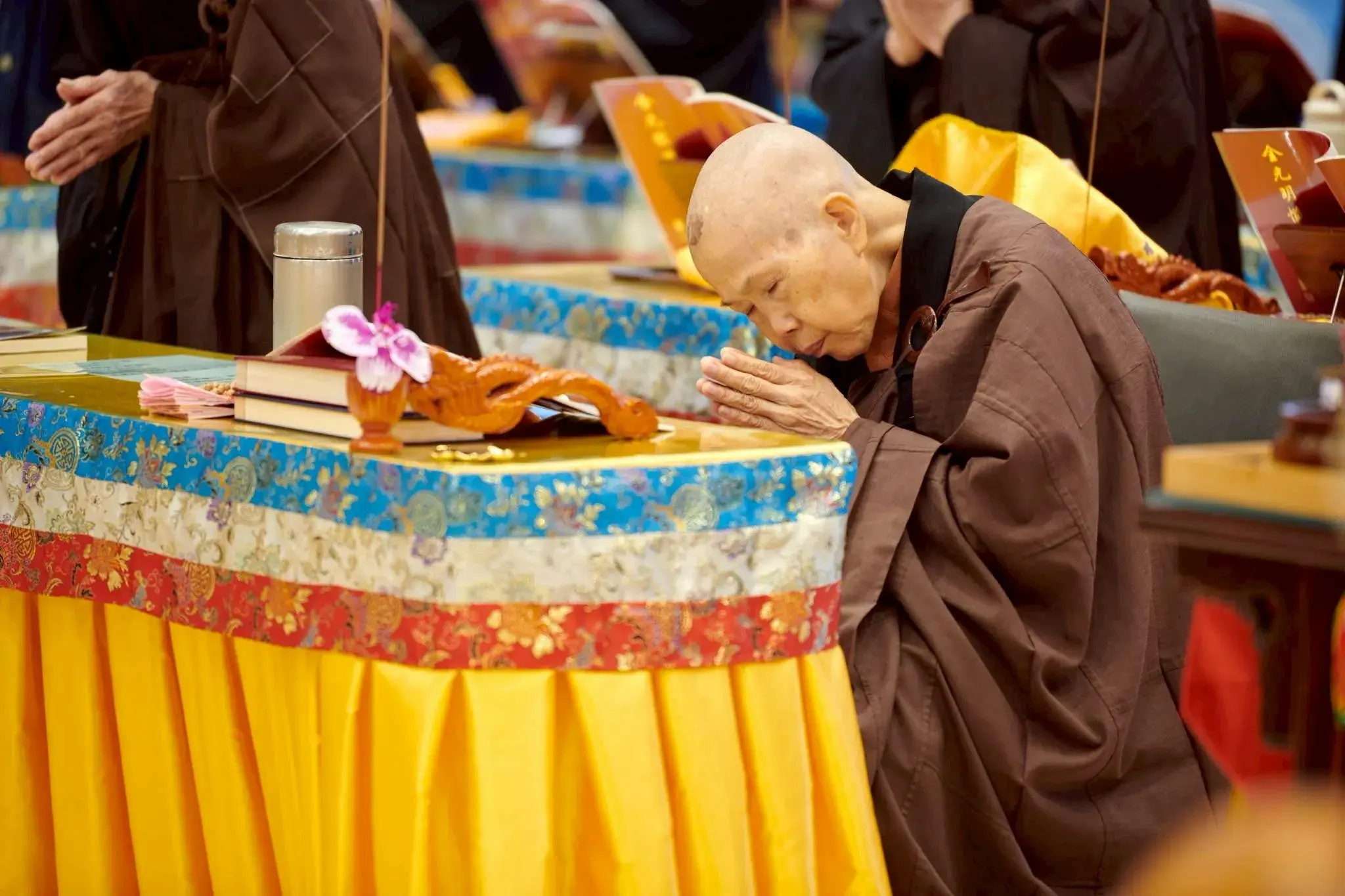 646173526 122115619935179749 1365757253606925302 N